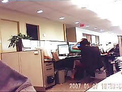 Oficina Negocios Analista milf Chubby