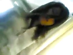 Paseo de shemale brasileña